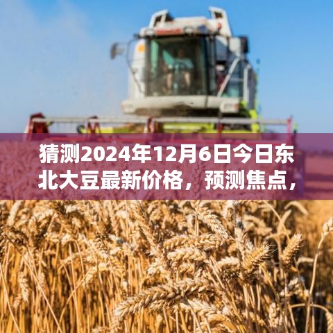 猜測2024年12月6日今日東北大豆最新價格，預(yù)測焦點，2024年12月6日東北大豆最新價格走勢分析