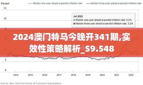 2024澳門(mén)特馬今晚開(kāi)341期,實(shí)效性策略解析_S9.548