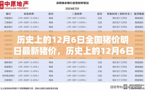 歷史上的12月6日全國豬價與最新明日豬價深度解析及最新價格預測報告