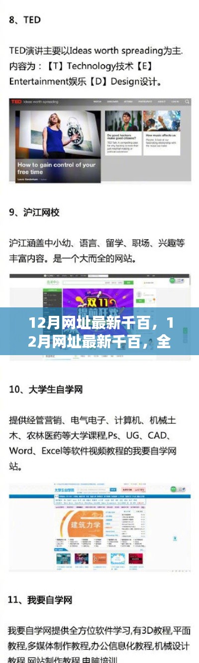 12月網(wǎng)址最新千百，12月網(wǎng)址最新千百，全面評(píng)測與介紹