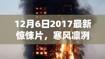 12月6日2017最新驚悚片，寒風凜冽之夜，12月6日2017最新驚悚片深度解析