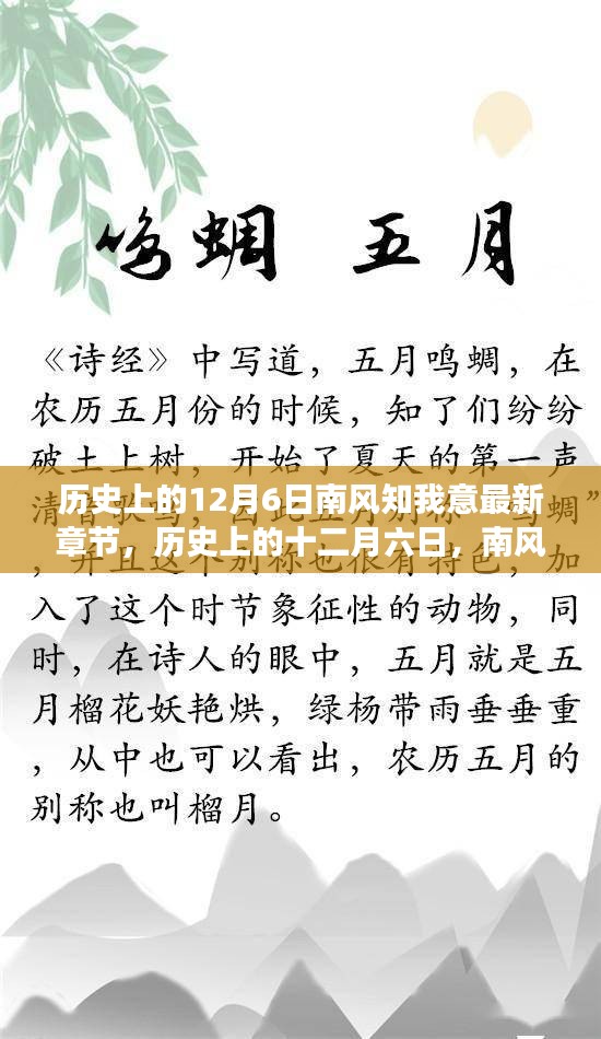 歷史上的12月6日，南風知我意最新章節(jié)及其背后的故事