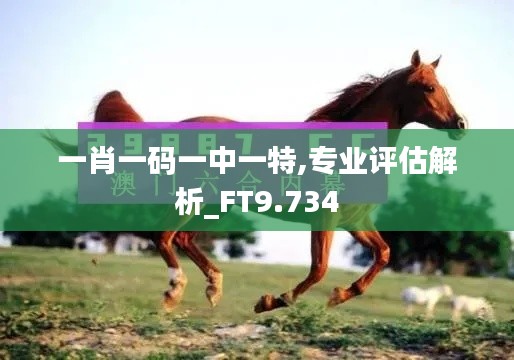 一肖一碼一中一特,專業(yè)評(píng)估解析_FT9.734