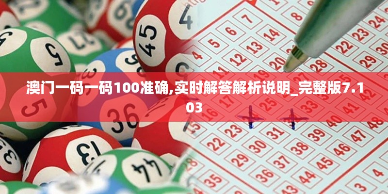 澳門一碼一碼100準確,實時解答解析說明_完整版7.103