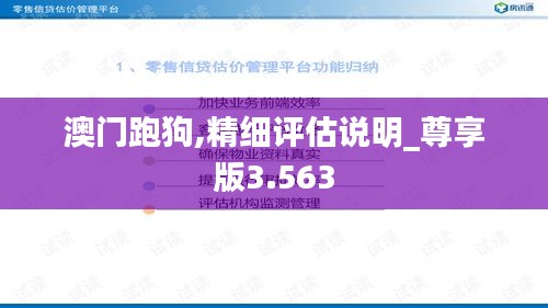 澳門(mén)跑狗,精細(xì)評(píng)估說(shuō)明_尊享版3.563