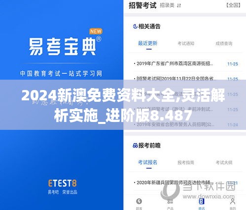 2024新澳免費(fèi)資料大全,靈活解析實(shí)施_進(jìn)階版8.487