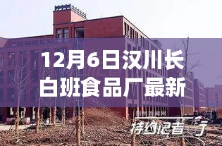 探秘漢川長白班食品廠，小巷里的味覺奇跡之旅