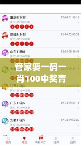 管家婆一碼一肖100中獎(jiǎng)青島,快速問題處理策略_經(jīng)典版10.658