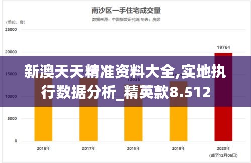 新澳天天精準(zhǔn)資料大全,實(shí)地執(zhí)行數(shù)據(jù)分析_精英款8.512