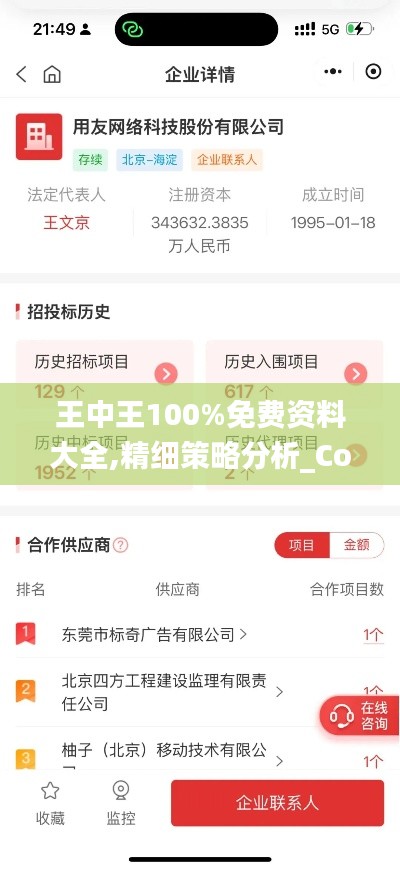 王中王100%免費資料大全,精細策略分析_Console6.205
