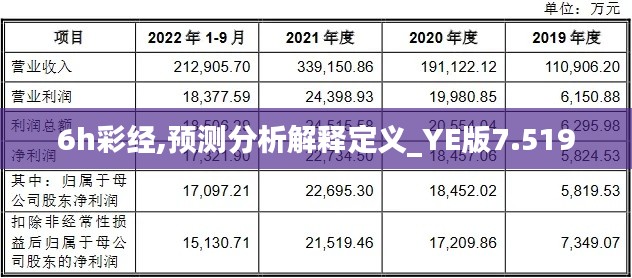 6h彩經(jīng),預(yù)測分析解釋定義_YE版7.519