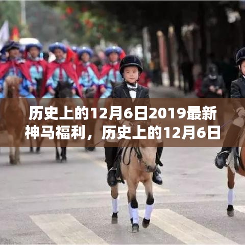 歷史上的12月6日與最新神馬福利，深度解讀與觀點闡述