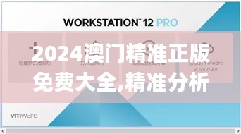 2024澳門精準正版免費大全,精準分析實施步驟_WearOS10.596