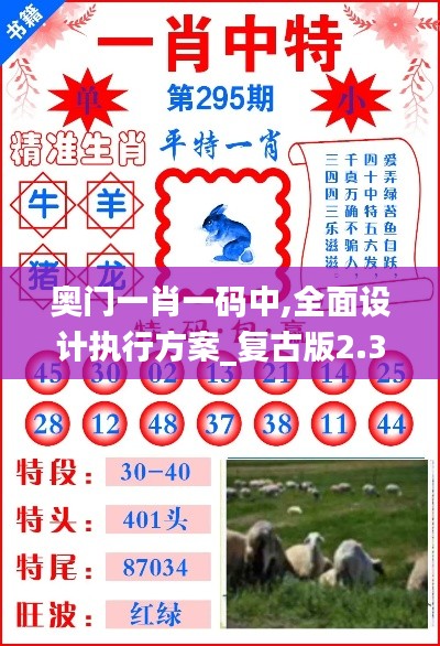 奧門一肖一碼中,全面設(shè)計(jì)執(zhí)行方案_復(fù)古版2.364