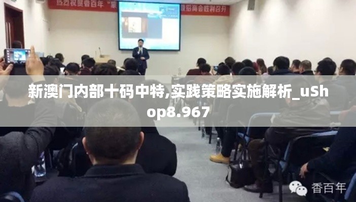 新澳門內(nèi)部十碼中特,實踐策略實施解析_uShop8.967