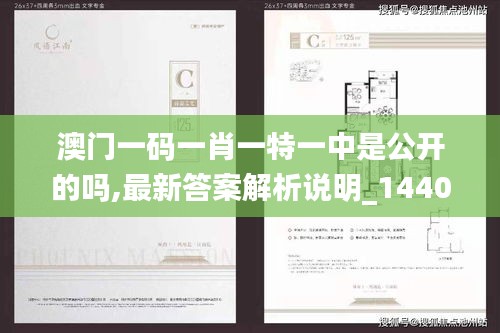 澳門一碼一肖一特一中是公開的嗎,最新答案解析說明_1440p12.332