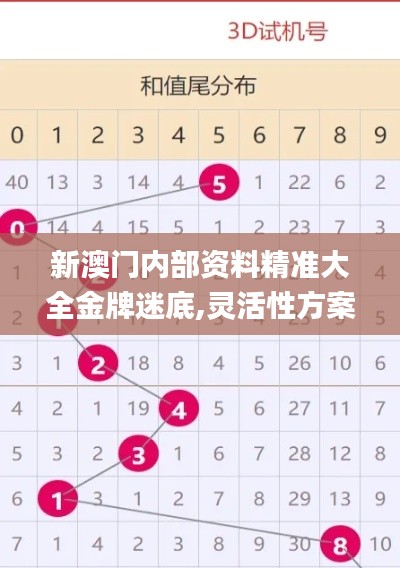 新澳門內(nèi)部資料精準(zhǔn)大全金牌迷底,靈活性方案實(shí)施評(píng)估_精英款6.504