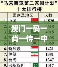 澳門一碼一肖一恃一中354期,安全性計(jì)劃解析_精英款5.623