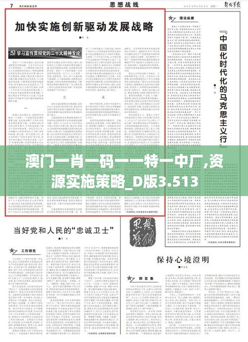 澳門一肖一碼一一特一中廠,資源實施策略_D版3.513