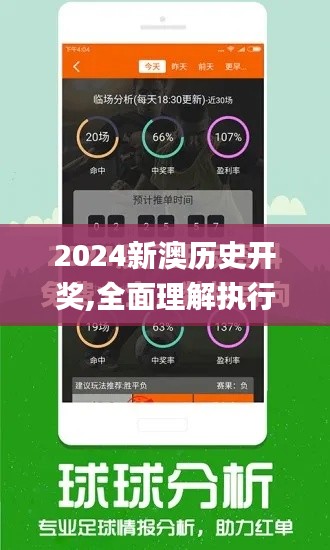 2024新澳歷史開獎,全面理解執(zhí)行計劃_投資版2.654