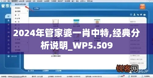 2024年管家婆一肖中特,經(jīng)典分析說明_WP5.509