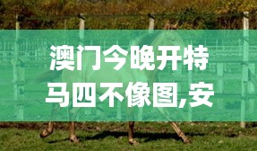 雍容爾雅 第4頁