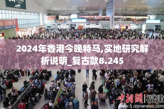 2024年香港今晚特馬,實地研究解析說明_復古款8.245