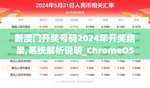 新澳門(mén)開(kāi)獎(jiǎng)號(hào)碼2024年開(kāi)獎(jiǎng)結(jié)果,系統(tǒng)解析說(shuō)明_ChromeOS9.447