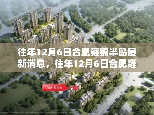 往年12月6日合肥雍錦半島最新消息與動態(tài)回顧
