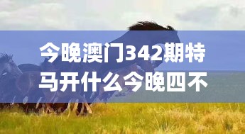 今晚澳門342期特馬開(kāi)什么今晚四不像,確保成語(yǔ)解釋落實(shí)_專屬版9.163