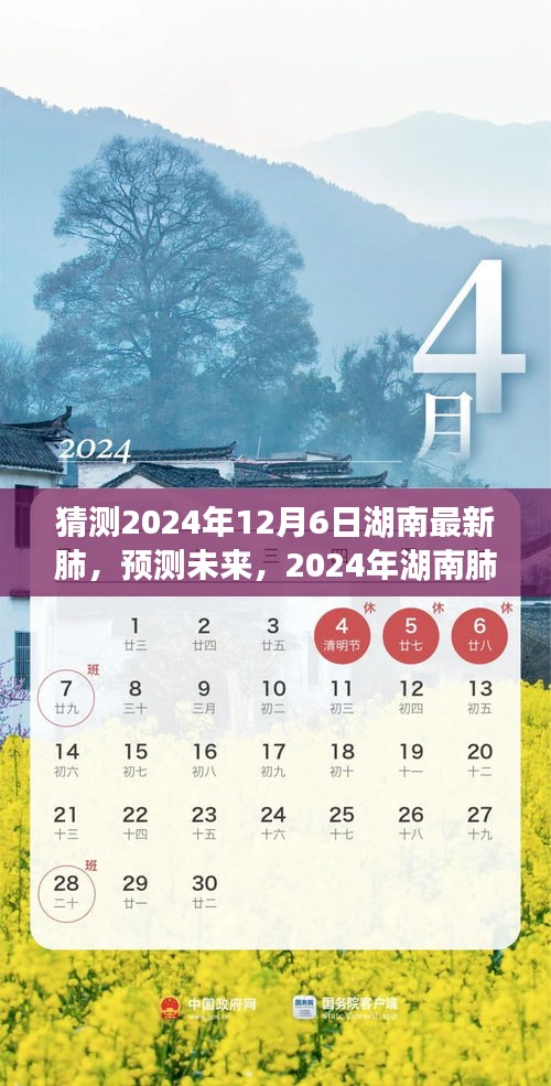 湖南肺部健康預測，未來動向與最新趨勢展望至2024年12月6日
