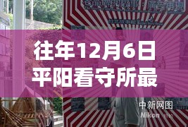 平陽(yáng)看守所旁小巷的特色小店，最新奇遇與深度探索
