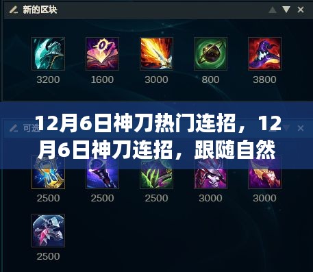 12月6日神刀熱門連招，12月6日神刀連招，跟隨自然美景的腳步，探尋內(nèi)心的寧?kù)o之旅