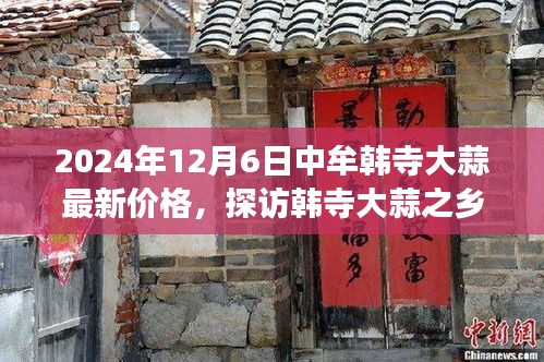 2024年12月6日中牟韓寺大蒜最新價(jià)格，探訪韓寺大蒜之鄉(xiāng)，一次尋找心靈寧靜的旅程