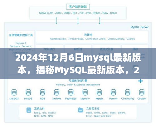 揭秘MySQL最新版本，探索之旅至2024年12月6日（要點詳解）