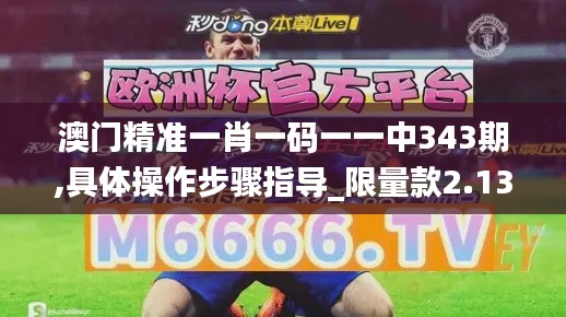 澳門精準(zhǔn)一肖一碼一一中343期,具體操作步驟指導(dǎo)_限量款2.131