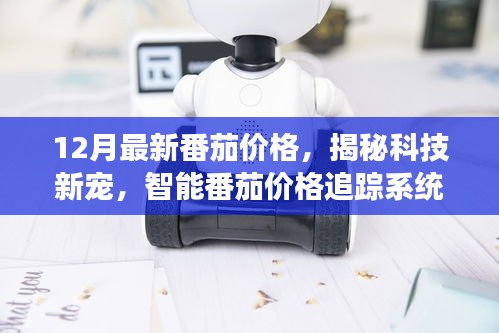 12月最新番茄價(jià)格，揭秘科技新寵，智能番茄價(jià)格追蹤系統(tǒng)——體驗(yàn)前沿科技如何重塑蔬菜市場(chǎng)