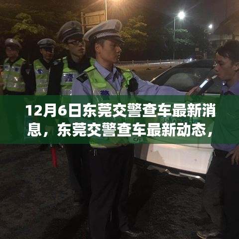 東莞交警最新查車動(dòng)態(tài)，新手指南，應(yīng)對12月6日行動(dòng)步驟詳解