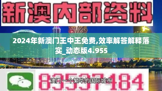 2024年新澳門王中王免費,效率解答解釋落實_動態(tài)版4.955
