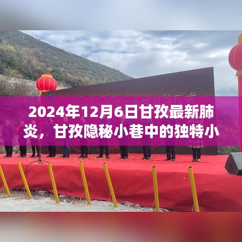 2024年12月6日甘孜最新肺炎，甘孜隱秘小巷中的獨(dú)特小店，一場關(guān)于美食與健康的奇妙邂逅