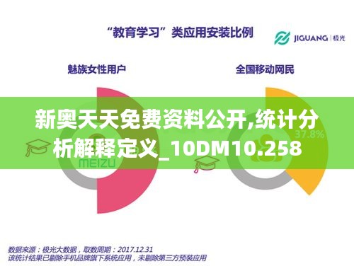 新奧天天免費(fèi)資料公開(kāi),統(tǒng)計(jì)分析解釋定義_10DM10.258