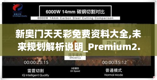 新奧門天天彩免費(fèi)資料大全,未來規(guī)劃解析說明_Premium2.306