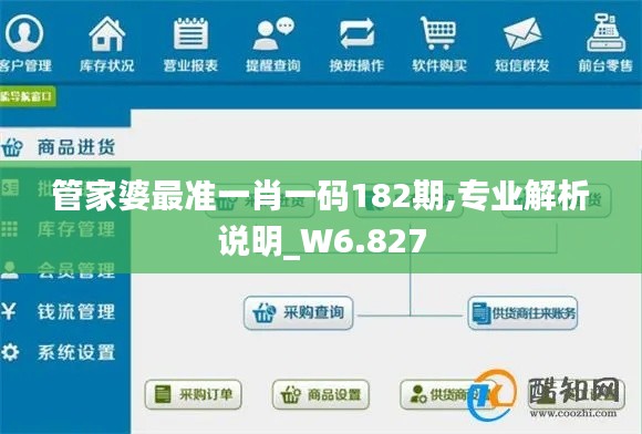 管家婆最準(zhǔn)一肖一碼182期,專業(yè)解析說明_W6.827