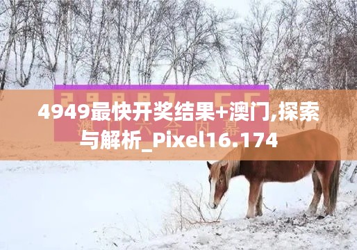 4949最快開獎結(jié)果+澳門,探索與解析_Pixel16.174