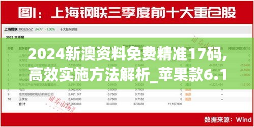 2024新澳資料免費精準(zhǔn)17碼,高效實施方法解析_蘋果款6.174