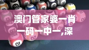 澳門管家婆一肖一碼一中一,深度分析解釋定義_android8.746