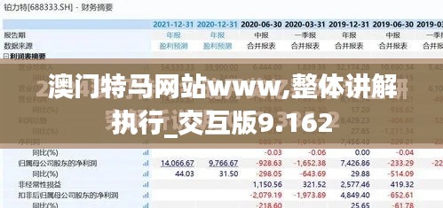 澳門特馬網(wǎng)站www,整體講解執(zhí)行_交互版9.162
