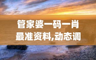 管家婆一碼一肖最準(zhǔn)資料,動(dòng)態(tài)調(diào)整策略執(zhí)行_GM版4.746
