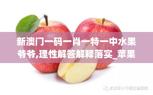 新澳門一碼一肖一特一中水果爺爺,理性解答解釋落實(shí)_蘋果款1.844
