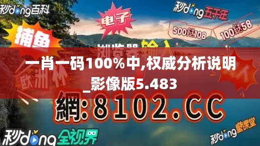 一肖一碼100%中,權(quán)威分析說明_影像版5.483